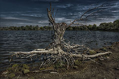 photo "***"