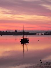 photo "Pink Morning"