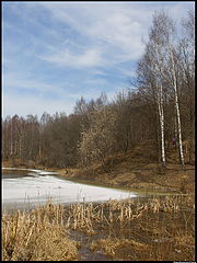 фото "Весна"