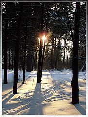 photo "***"