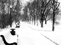photo "nostalgia"