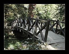 photo "A Dream Bridge"