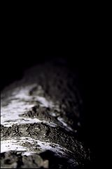 photo "Motherland"
