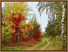 фото "Краски осени"