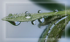 photo "***"