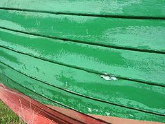 фото "Green"