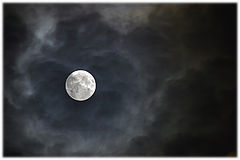 photo "All-seeing"
