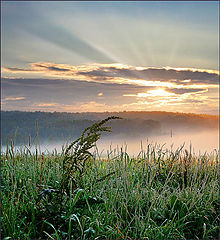 фото "Росное утро"