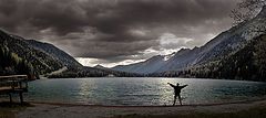 photo "freedom"