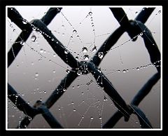 photo "***"