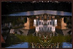 фото "reflection"