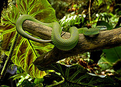 photo "Comfortable"