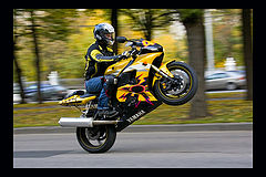 photo "Yes!!!"
