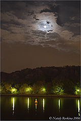 photo "In the hush of night"