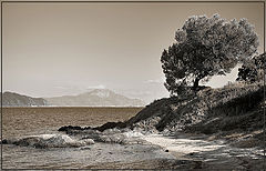 photo "***"