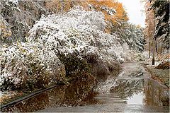 фото "Первый снег"