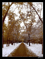 photo "***"