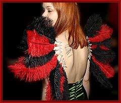 photo "Extreme Art"