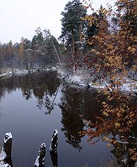 photo "***"
