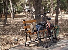 фото "Relax"