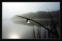 photo "***"