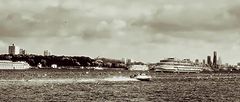 photo "the crusher"