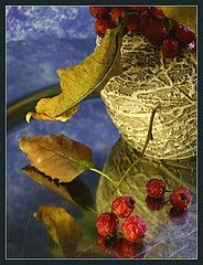 photo "Bitter berries"