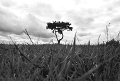 photo "Holding up the sky"