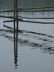 фото "'The Fence'"
