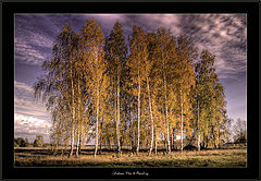 фото "Осенняя сказка"