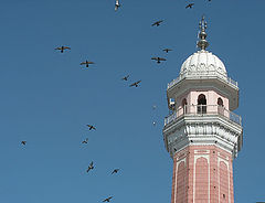photo "Low flying zone"