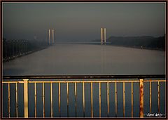фото "in the morning sun"