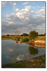 photo "In air smells as a thunder-storm"