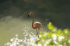 photo "Solar melody"