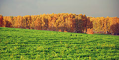 фото "краски осени"