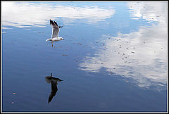 photo "***"