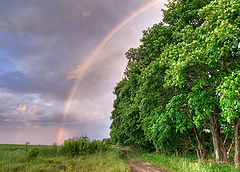 фото "Радуга"