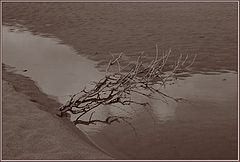 photo "***"