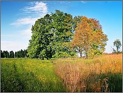 photo "Summer and autumn is now friends..."