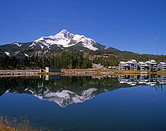 фото "Montana"