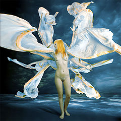 photo "Mortal Angel"