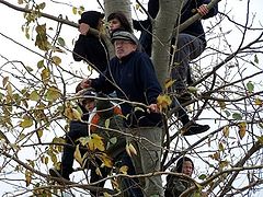 фото "Увидеть Наполеона"