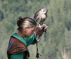 photo "22574 Falcon show"