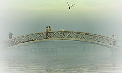 photo "***"