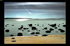photo "WN"