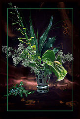 photo "***"