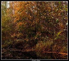photo "Late autumn"