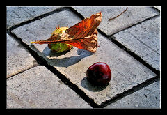 photo "***"