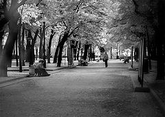 photo "light-step"