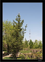 photo "Prospects of growth..."